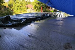 IMG_20190811_073727